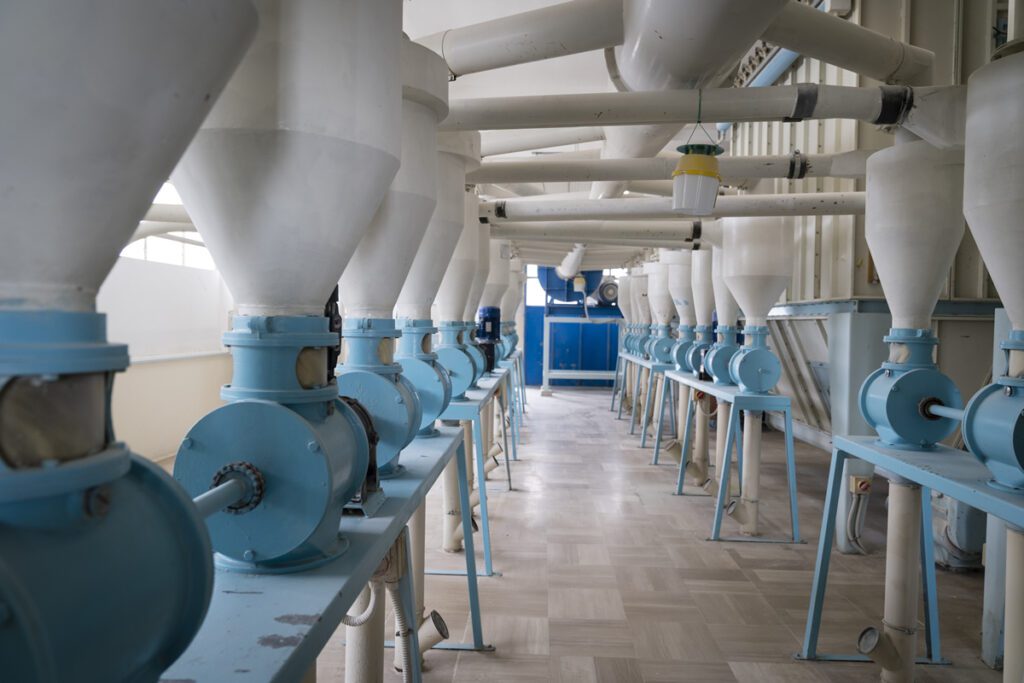 molini loizzo azienda 05