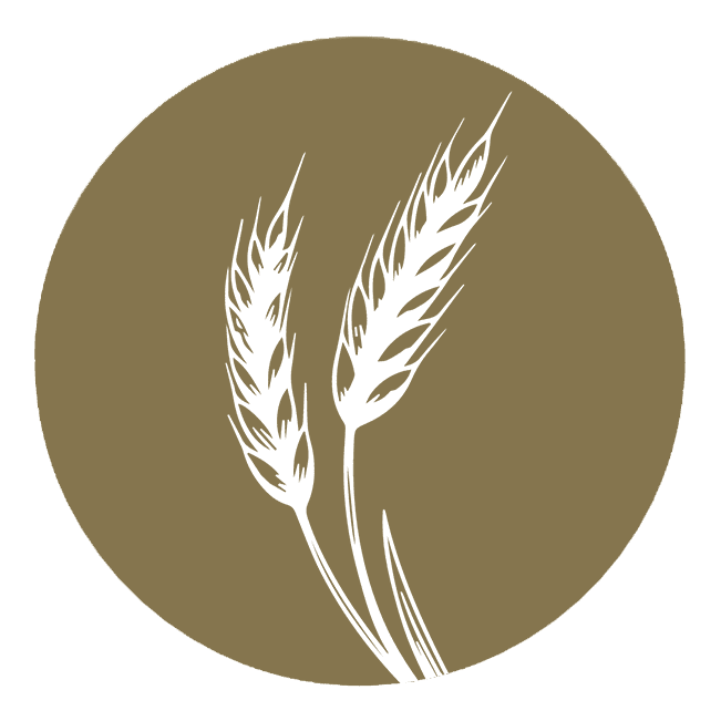 450 grano duro 1
